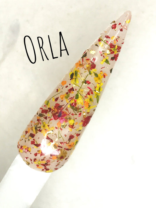Orla Floral and Foil